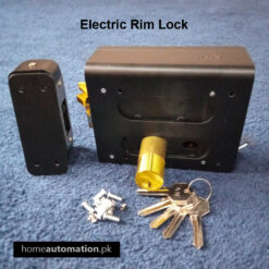 Electric Rim Lock for Main Gate